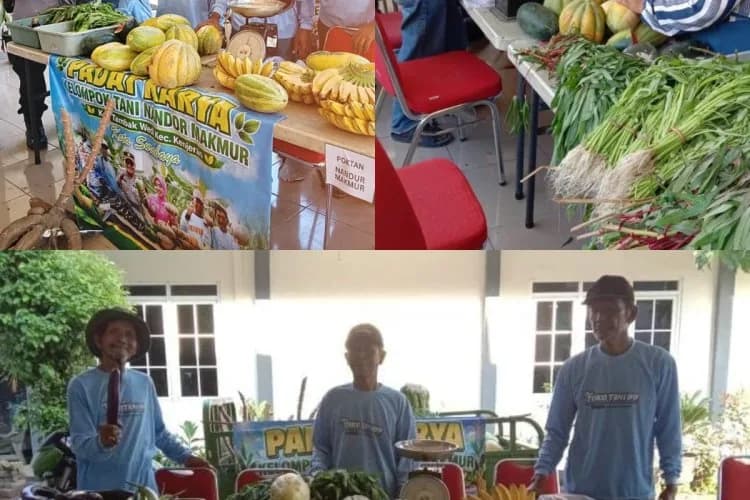 Mandiri di Lahan Sendiri, Kisah Sukses Polsek Kenjeran Ubah Lahan Tidur Jadi Solusi Pangan Warga