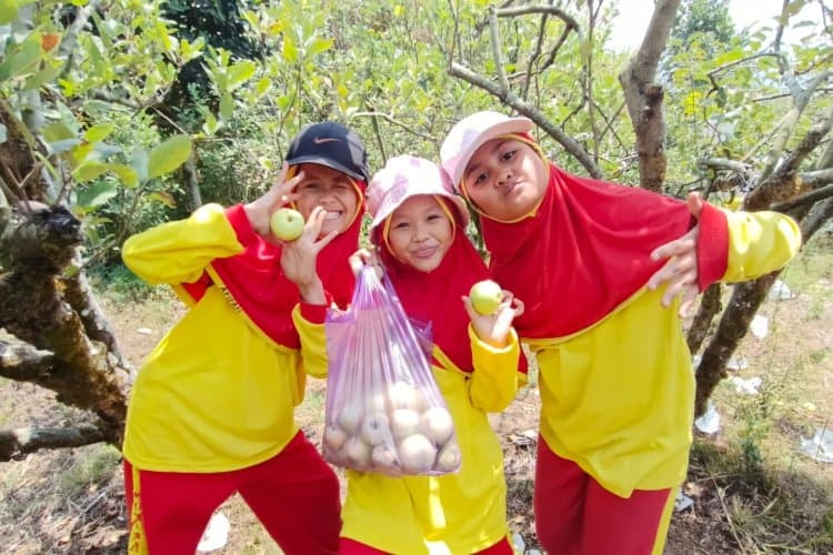 Belajar dari Alam: Siswa SD Muhammadiyah 13 Surabaya Petik Apel dan Jelajah Selecta di Batu