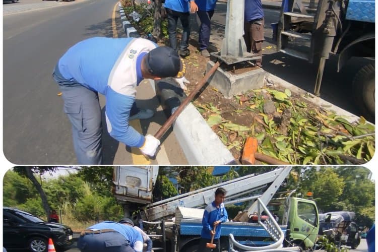 Tersenggol Truk, Tiang PJU Jalan Sumatra Bengkok Parah, Dishub Langsung Lakukan Penggantian