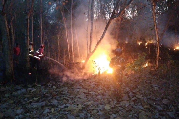 TNI-Polri Bersama Damkar dan Warga Padamkan Kebakaran Lahan Perhutani di Tiudan